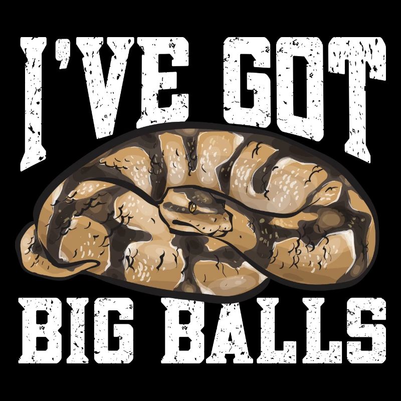 Ball Python Schlange Königspython