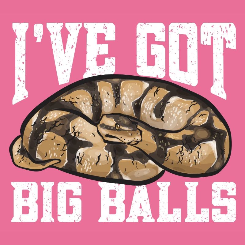 Ball Python Snake King Python