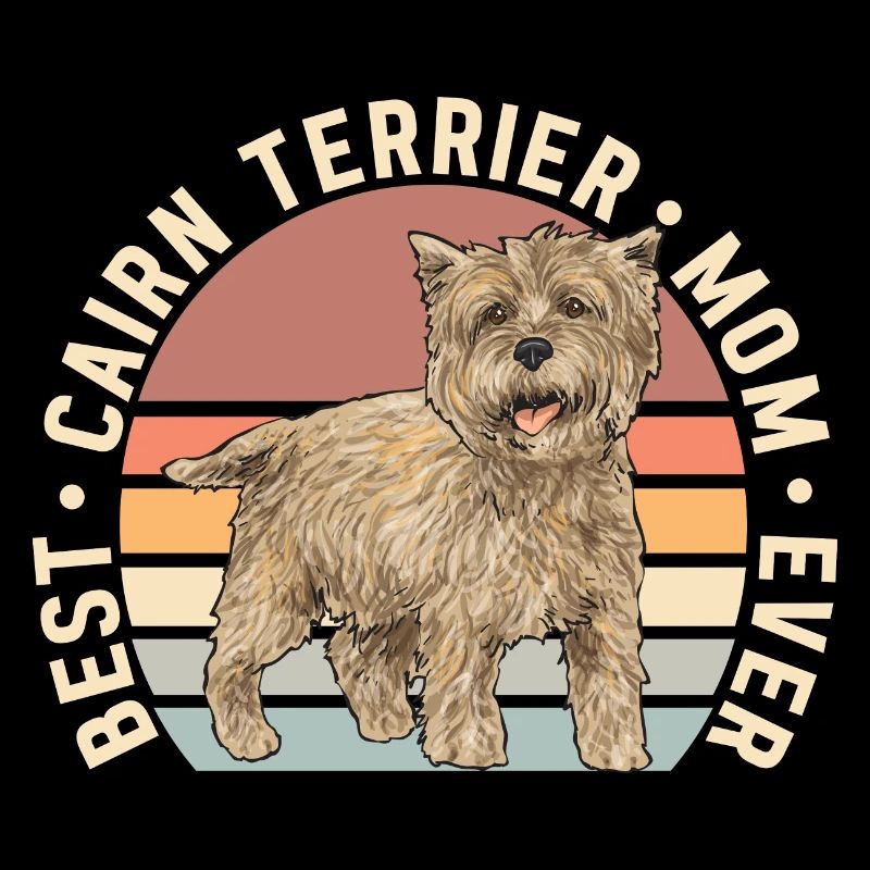 Cairn Terrier Hund