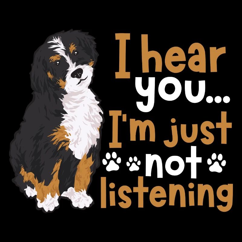Bernedoodle Hund