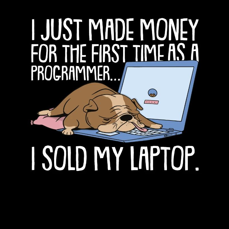 Programmierer Coder Software Entwickler