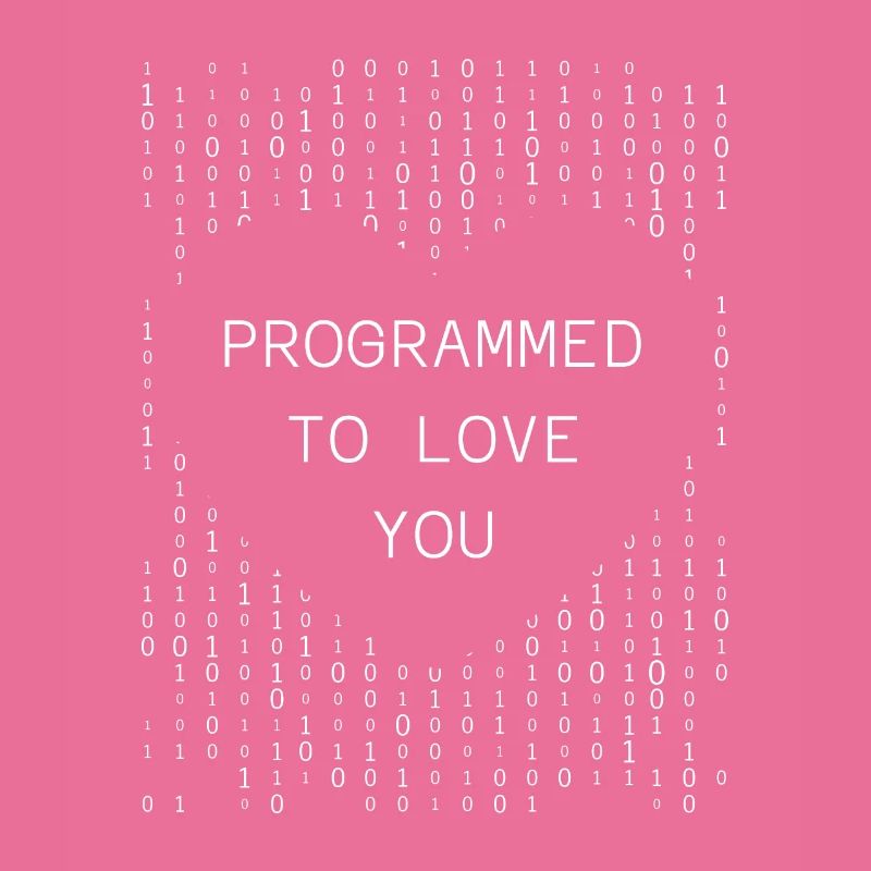 Developer Coder Programmer