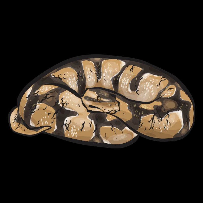 Ball Python Schlange Königspython