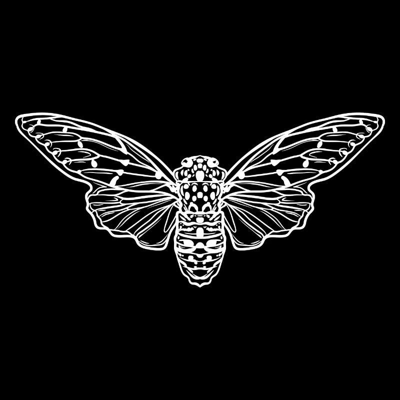 Cicada Minimalist