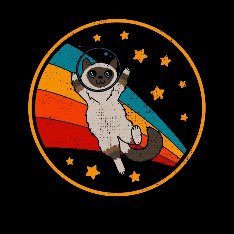 Birman Birman Chat de l’espace