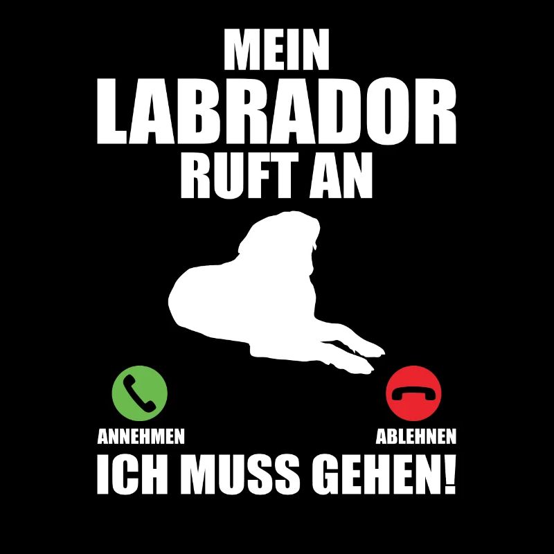 Mein Labrador Retriever Ruft An Gassi Hunde Labbi