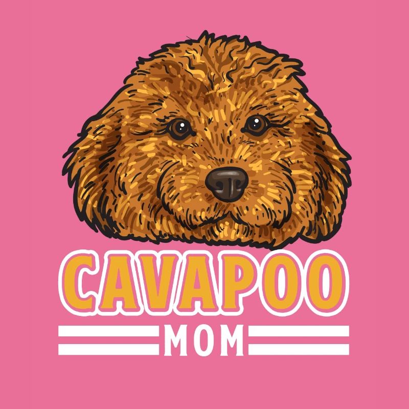 Cavapoo Cavoodle Capoodle Hund