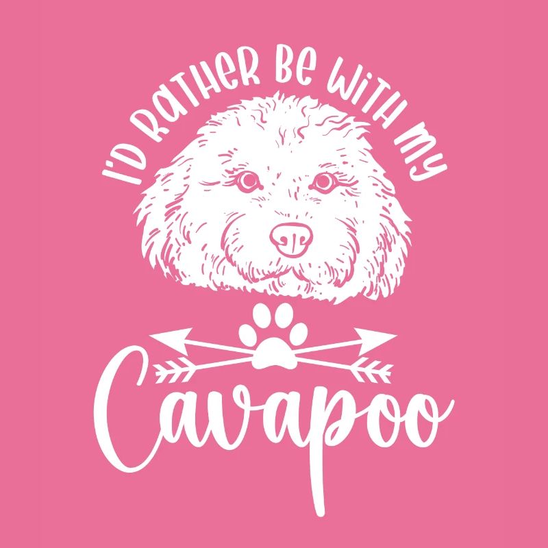 Cavapoo Cavoodle Capoodle Chien