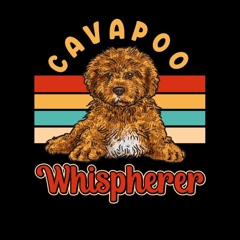 Cavapoo Cavoodle Capoodle Chien