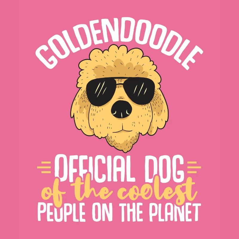 Goldendoodle Doodle Chien