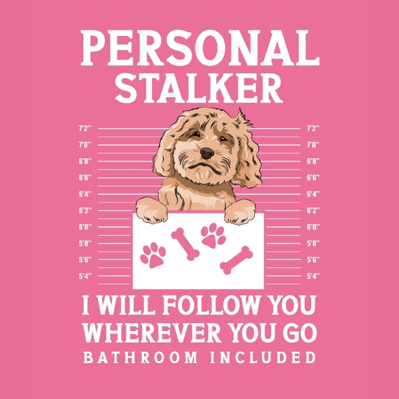 Cockapoo Dog