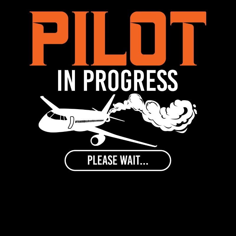 Pilot In Progress Please Wait Loading Plane