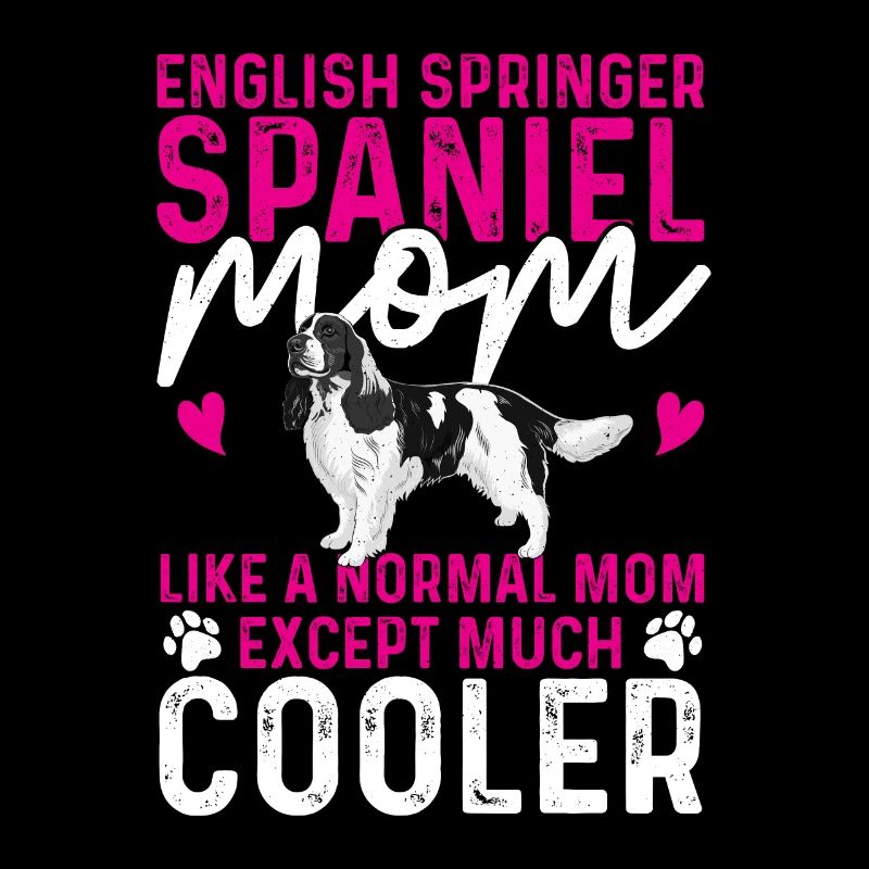 English Springer Spaniel Dog