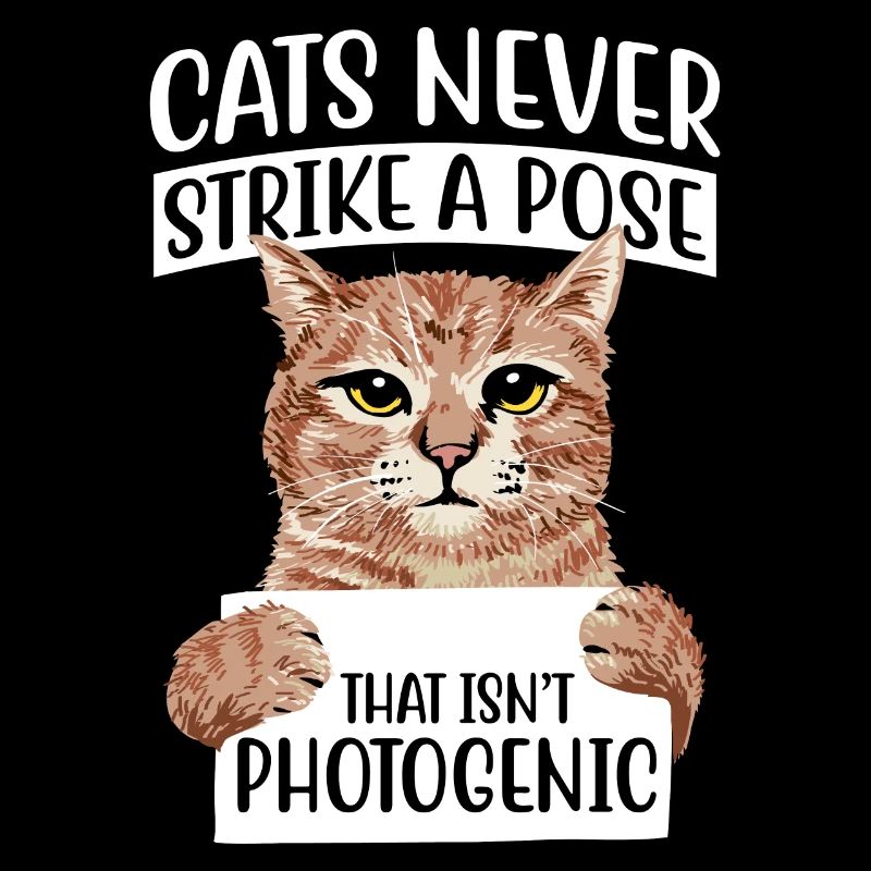 Cats never strike a pose that isn't photogenic