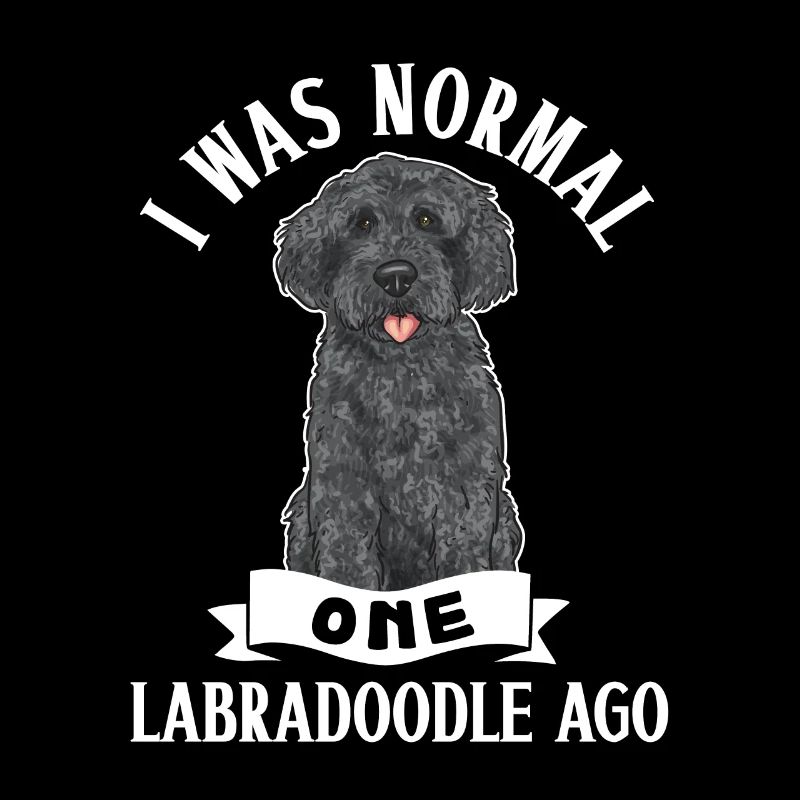 Labradoodle Hund
