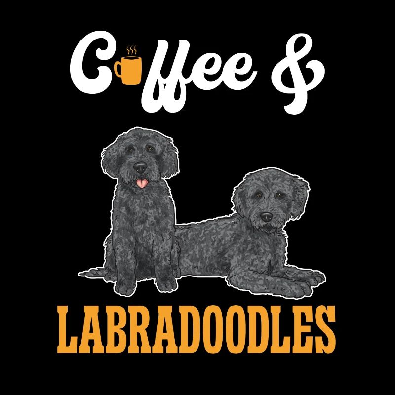 Labradoodle Hund