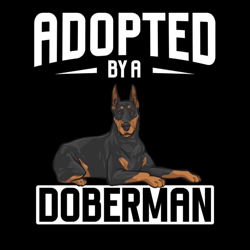 Dobermann Pinscher Hund Dobie