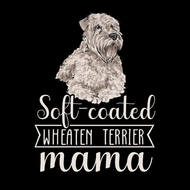 Irish Soft Coated Wheaten Terrier