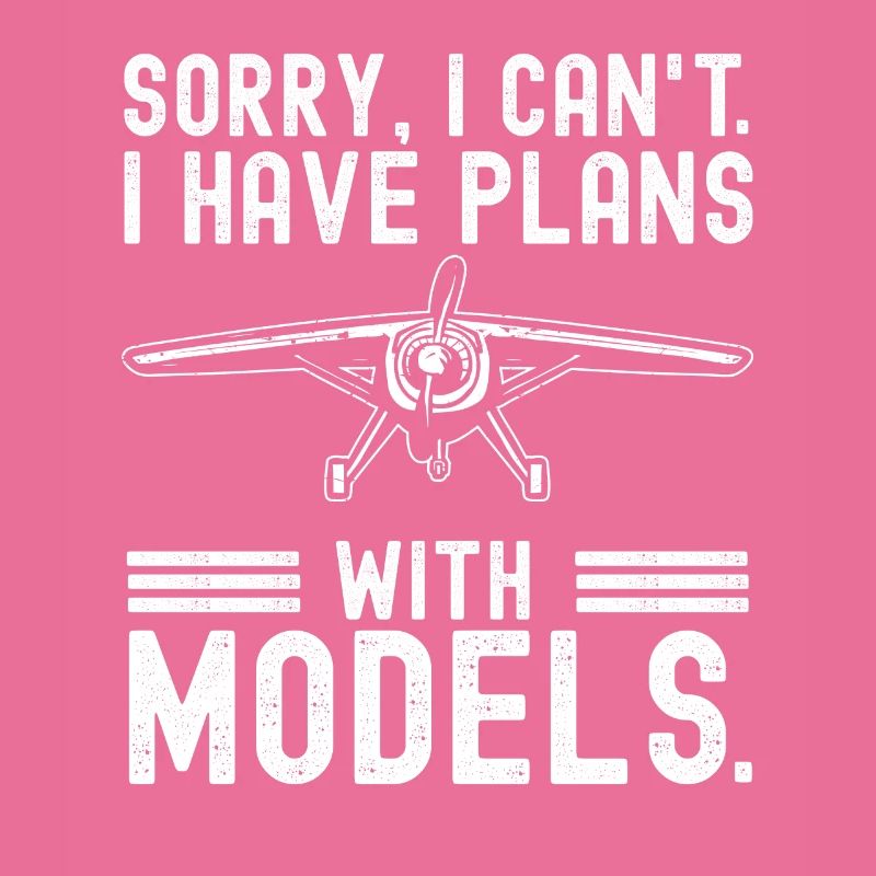 Modèle d’avion télécommandé