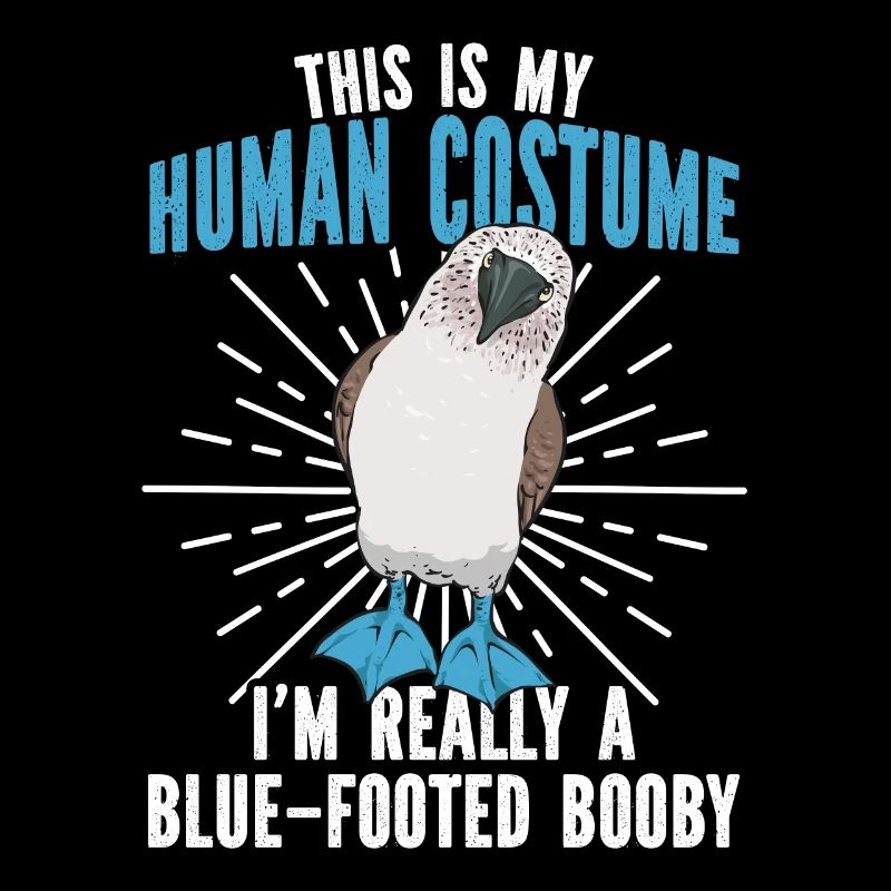 Blaufußtölpel Blue-footed Booby Seevogel