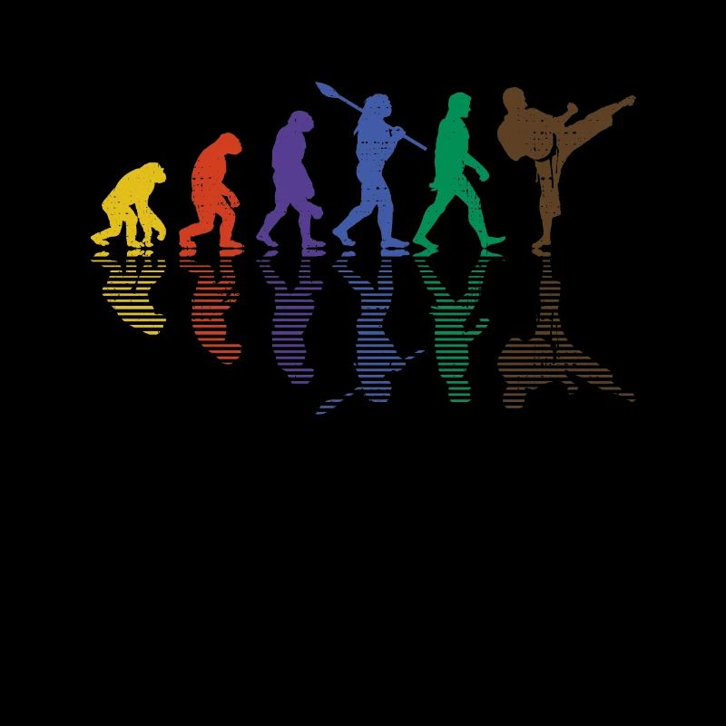 Evolution Karate