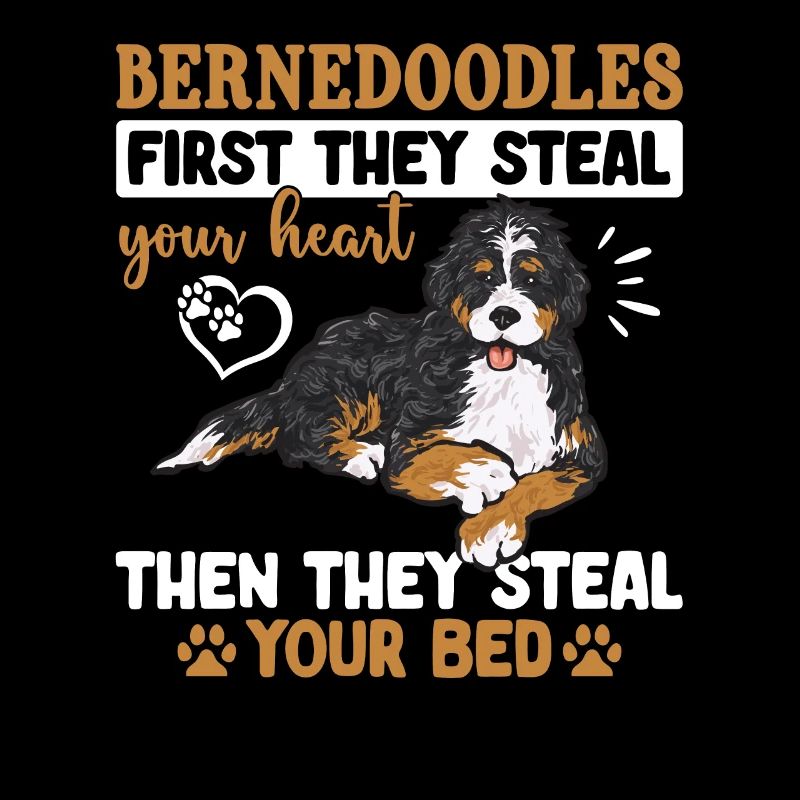 Bernedoodle Hund