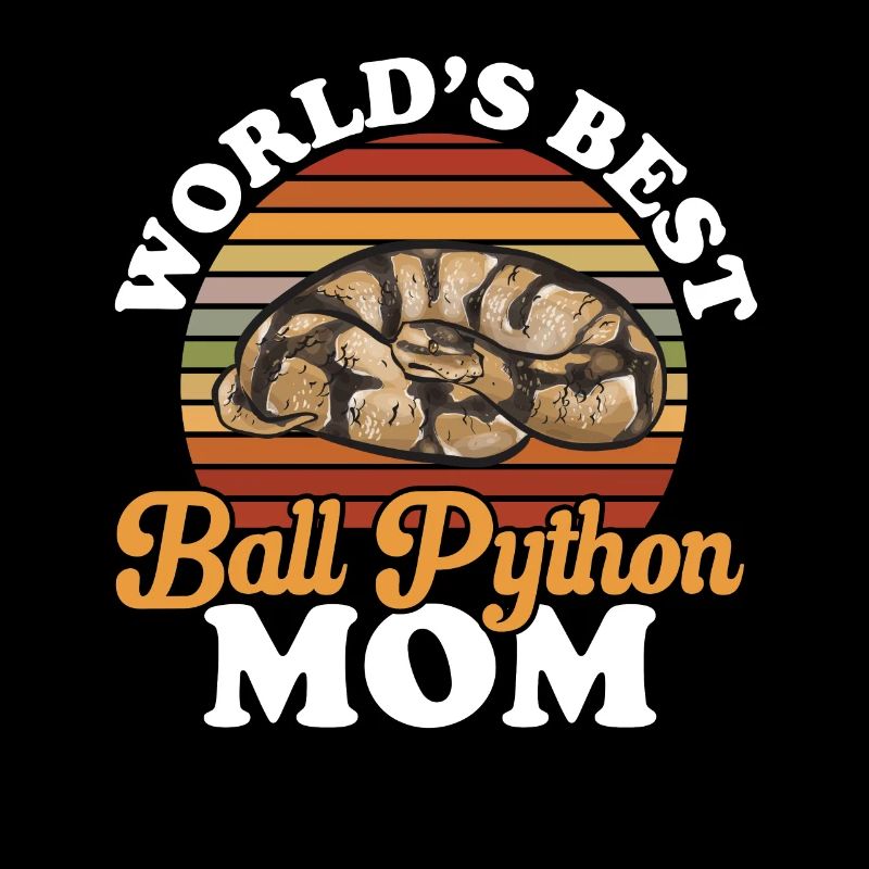 Ball Python Schlange Königspython