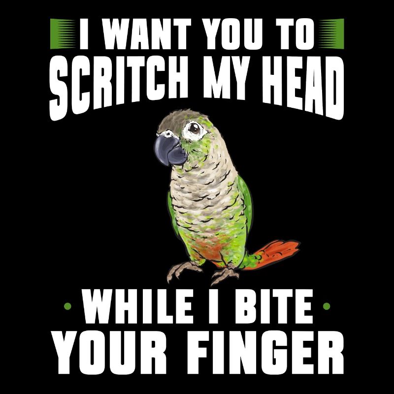 Molinasittich Papagei Vogel Sittich