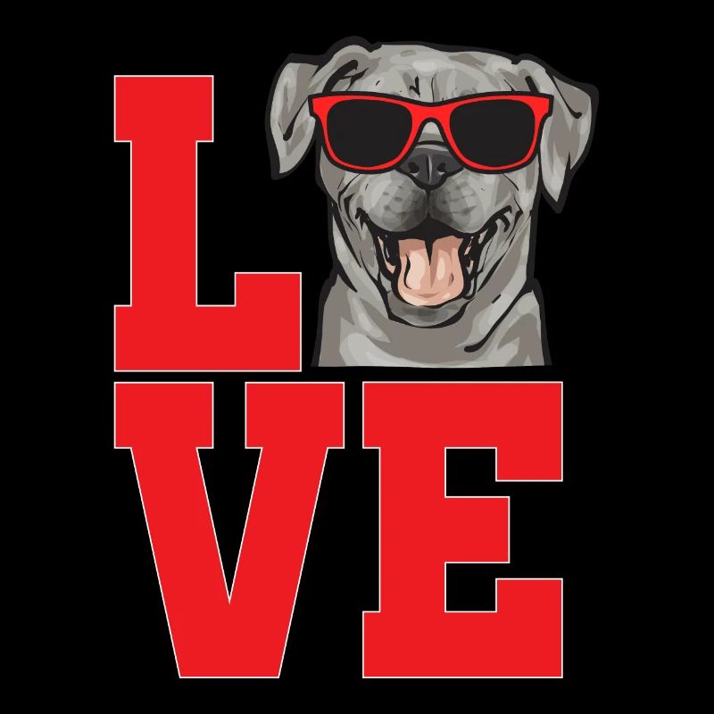 Silver Labrador Retriever Silver Lab