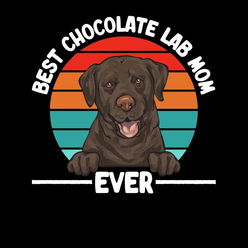 Schoko Brauner Labrador Retriever Hund
