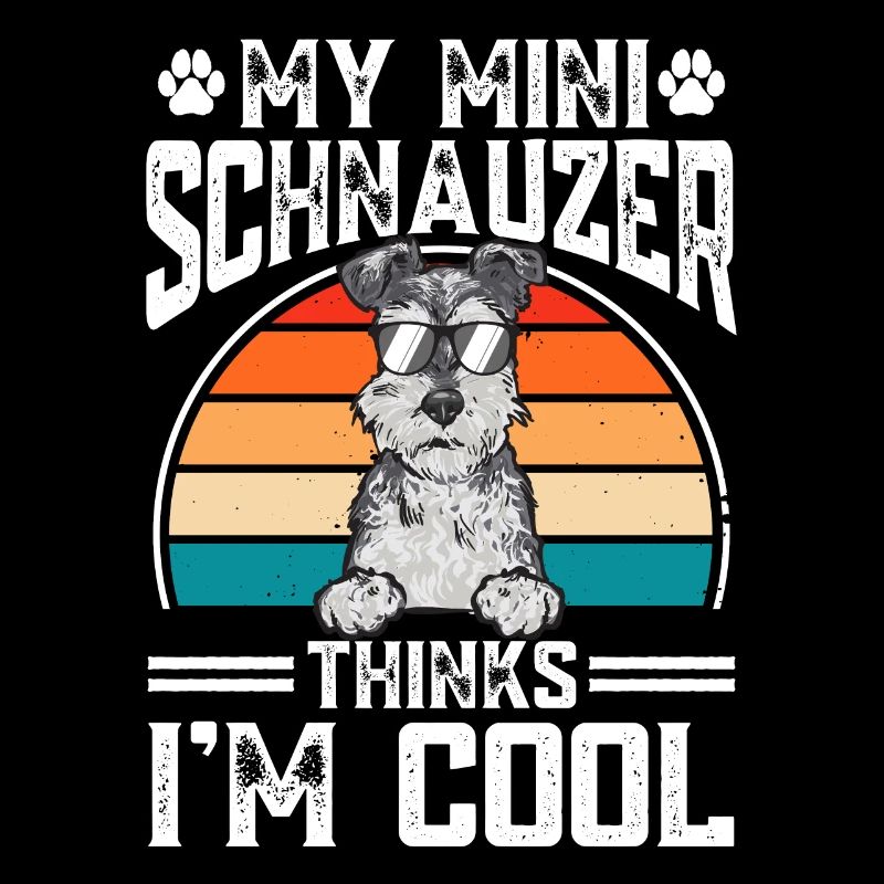Miniature Schnauzer Dog Schnauzer