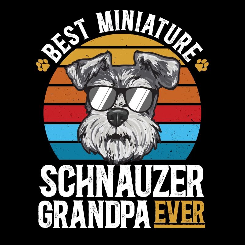 Zwergschnauzer Hund Schnauzer