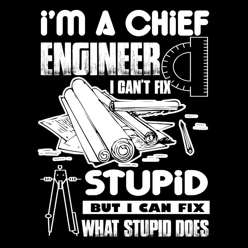 Chief Engineer I Cannot Fix Stupid