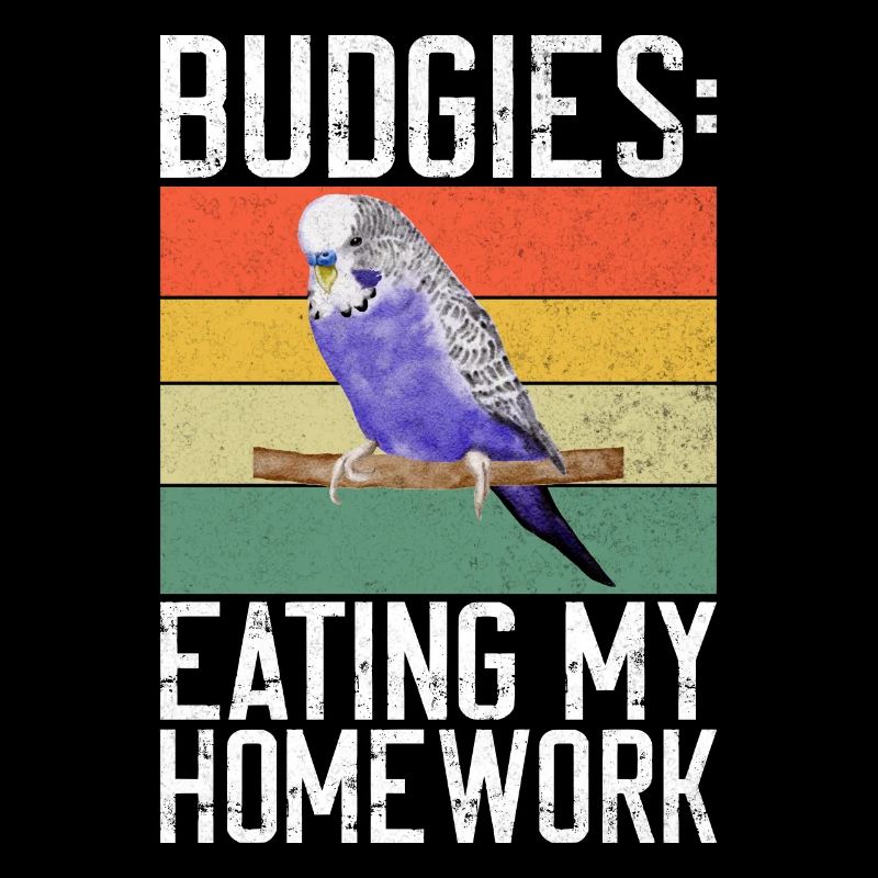 Budgie Gift