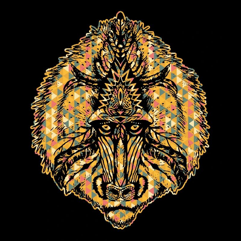 Baboon Geometric