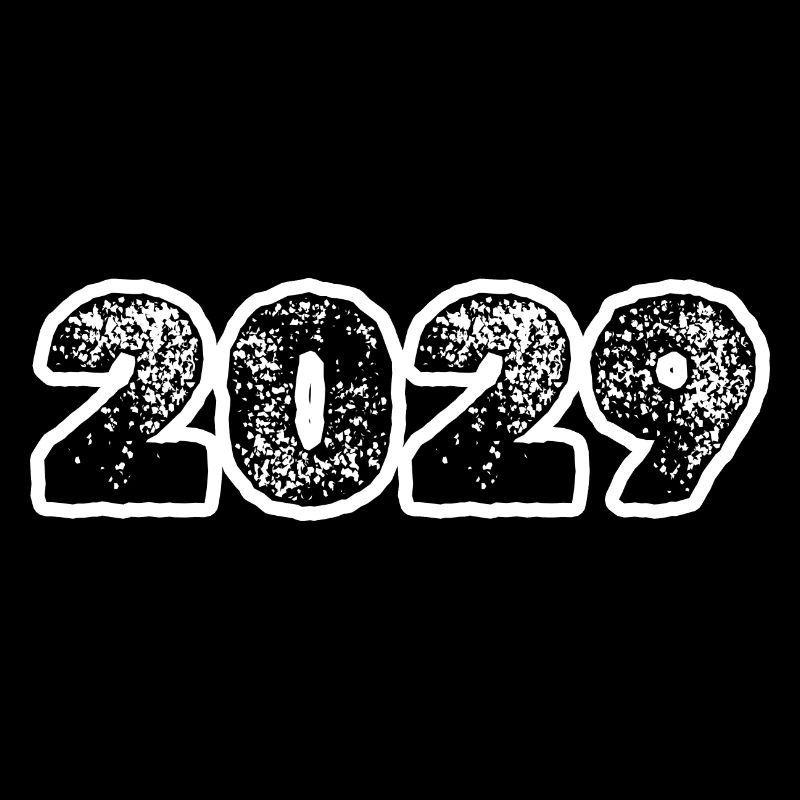 Année 2029