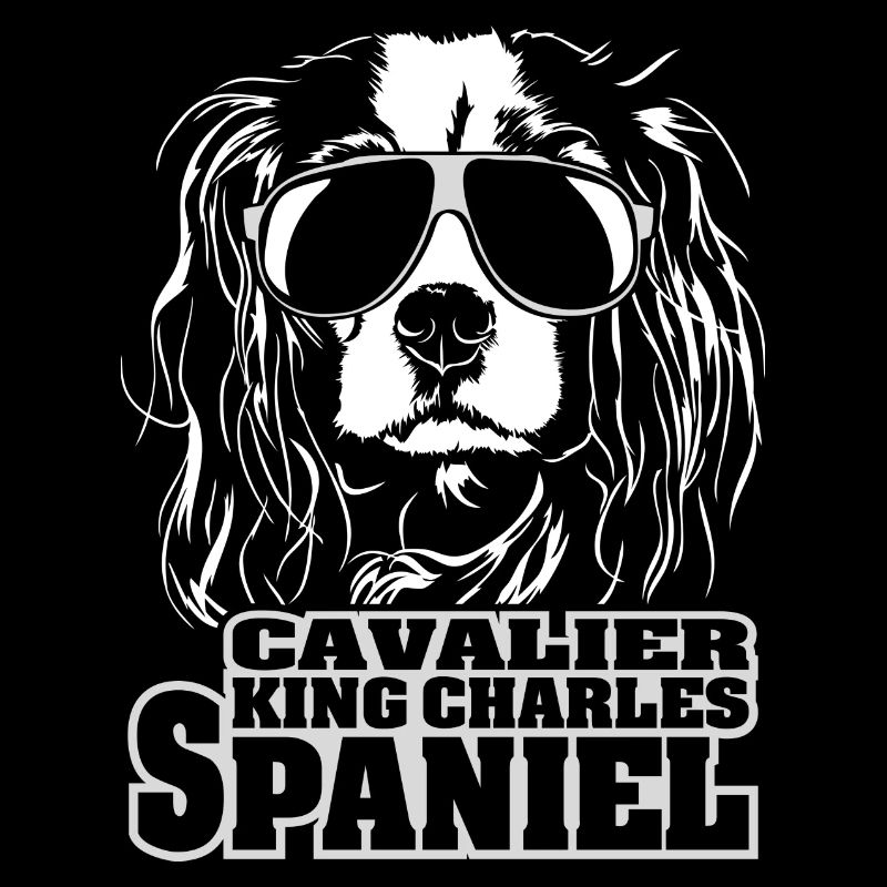 CAVALIER KING CHARLES SPANIEL Chiens Wilsigns cool