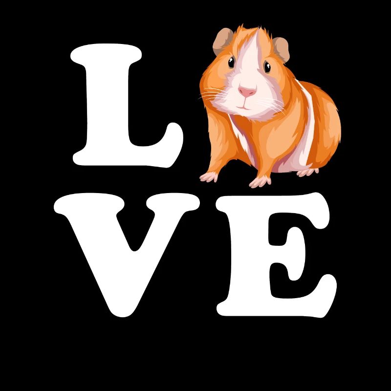 Cochon d’Inde Amour Amour Cochon d’Inde