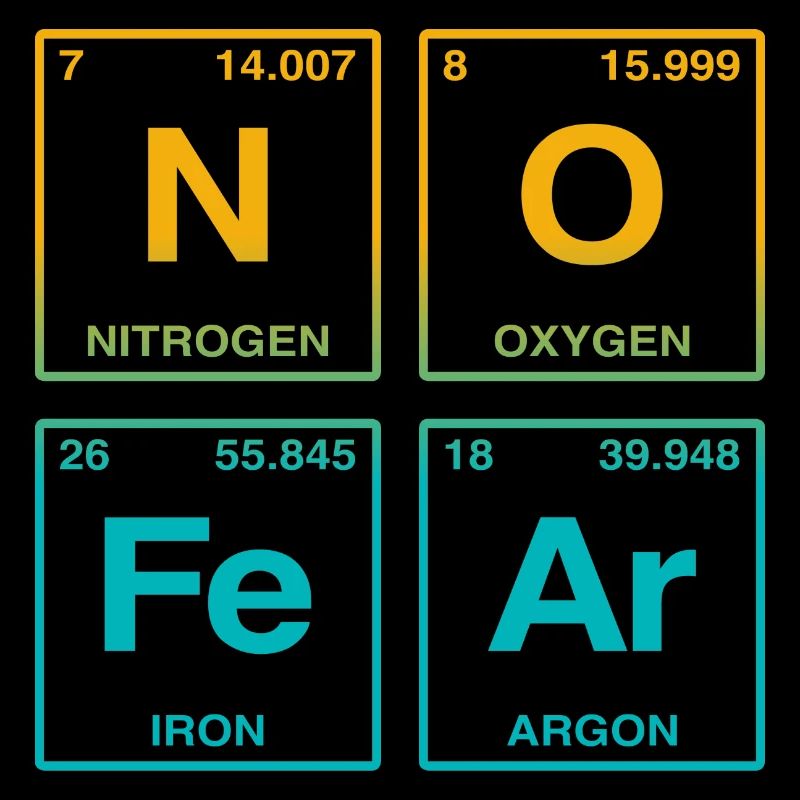 NO FEAR - avec des éléments du système de perdiode
