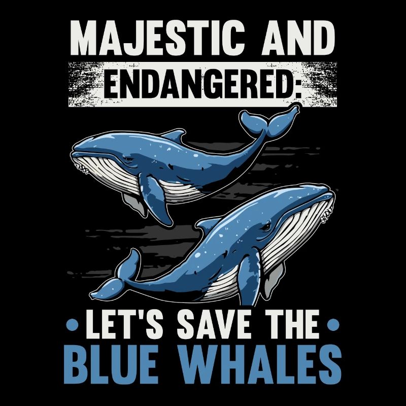 Gefährdete Arten Blauwal Tierrechte