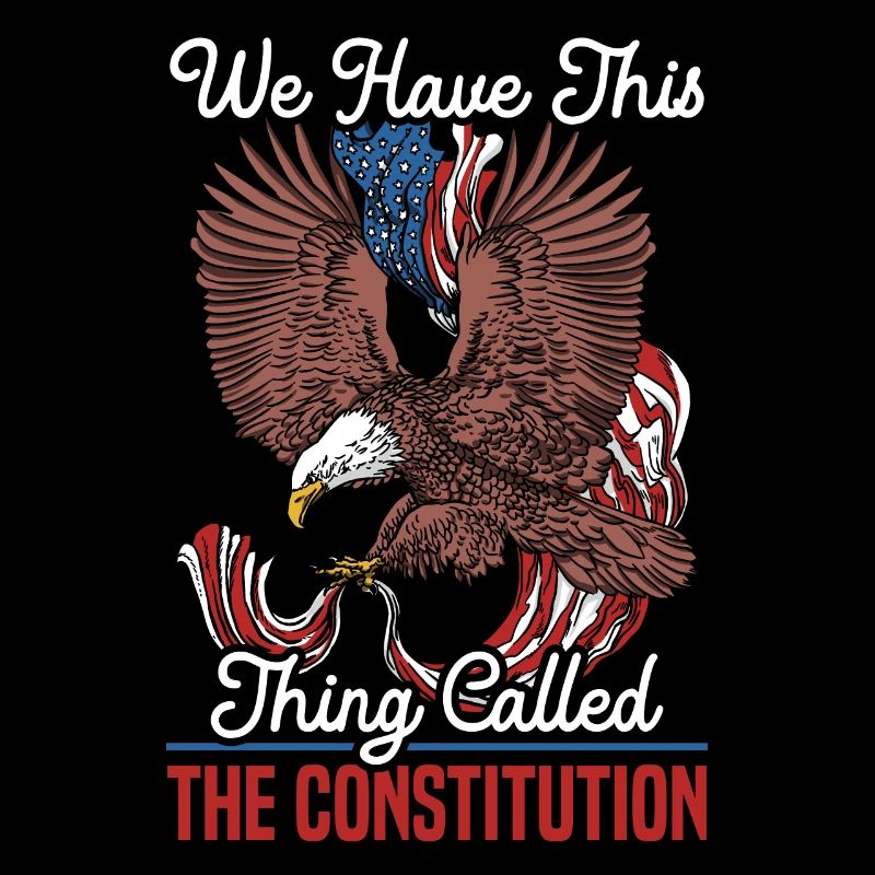 We Have This Thing Called The Constitution Day