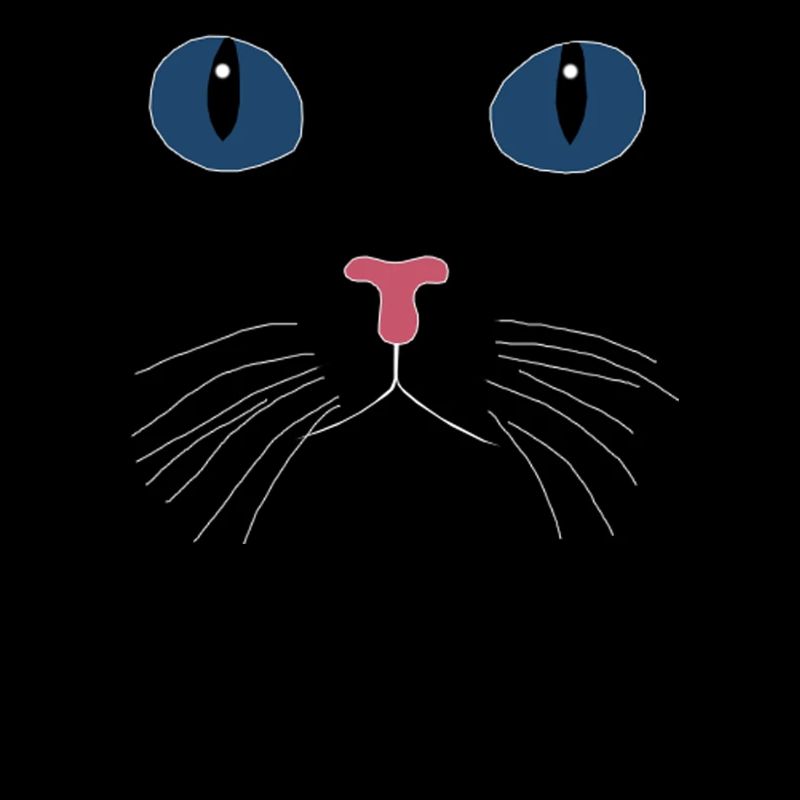 CHAT NOIR