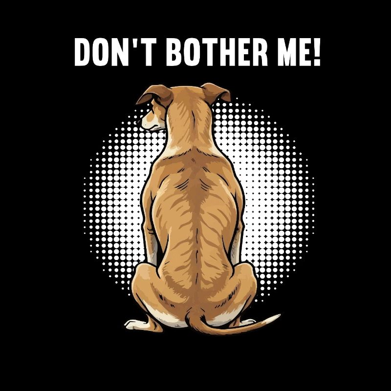 Don't Bother Me Whippet Greyhound Whippet Owner