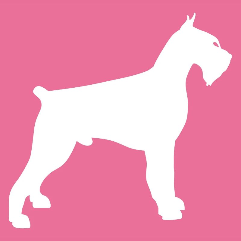 schnauzer géant