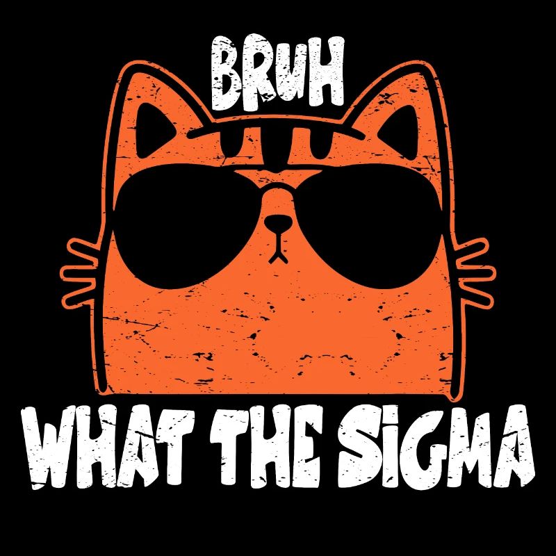 Bruh what the sigma ?