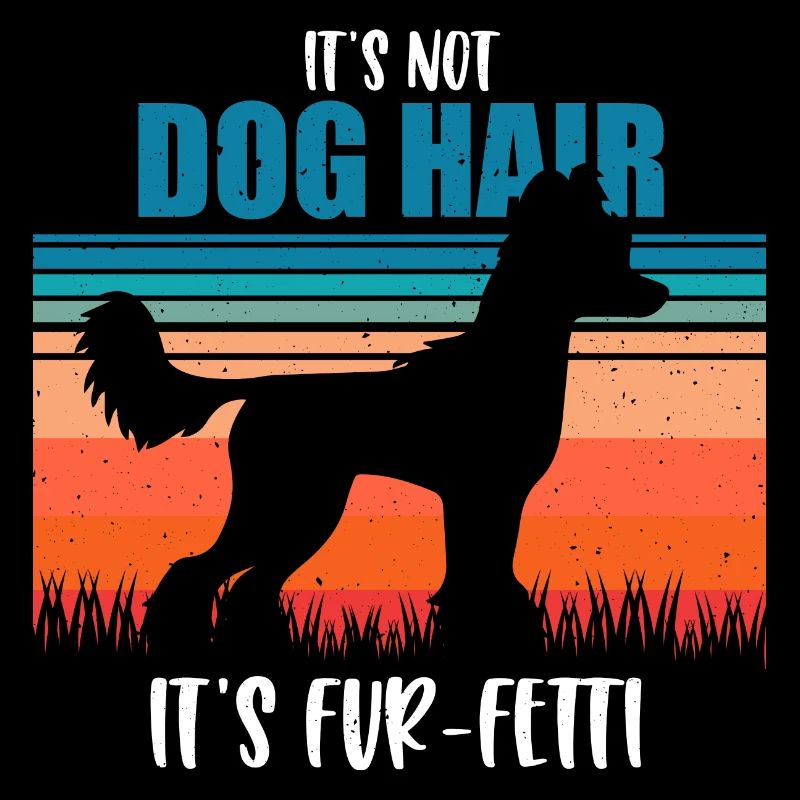 Chinese Crested Dog Chinesischer Schopfhund