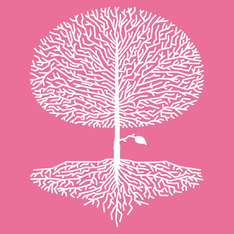 Deciduous Tree Crown Forest Oak Beech Nature Linden Branches