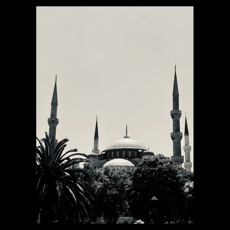 Une mosquée turque en noir et blanc