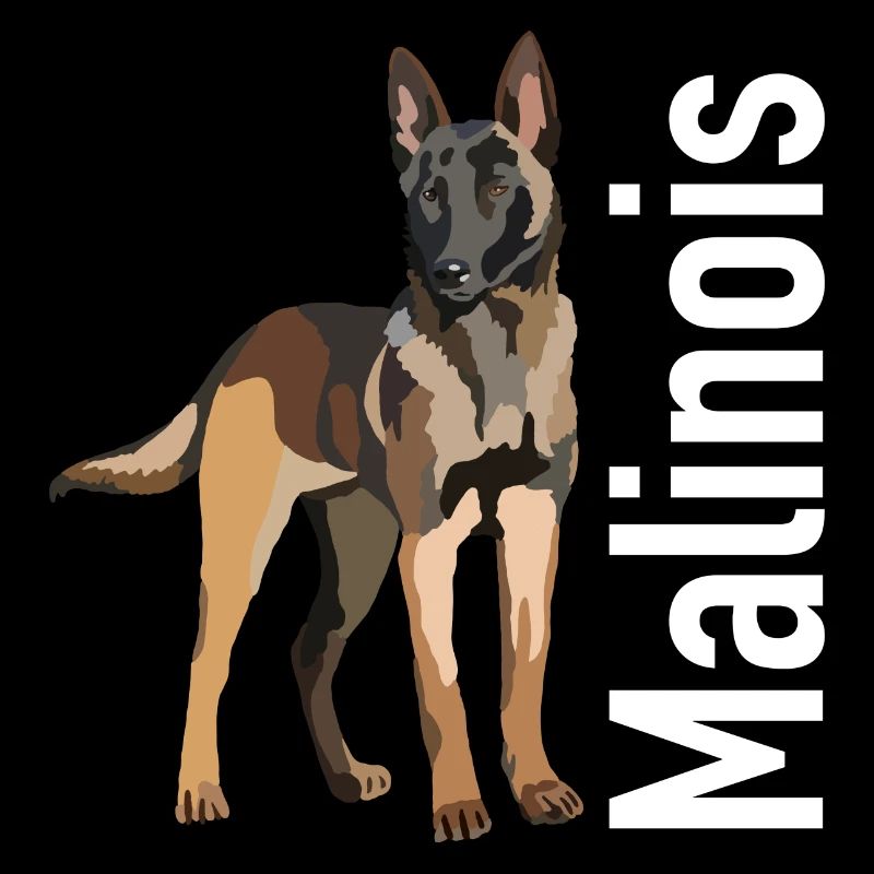 Malinois Dog