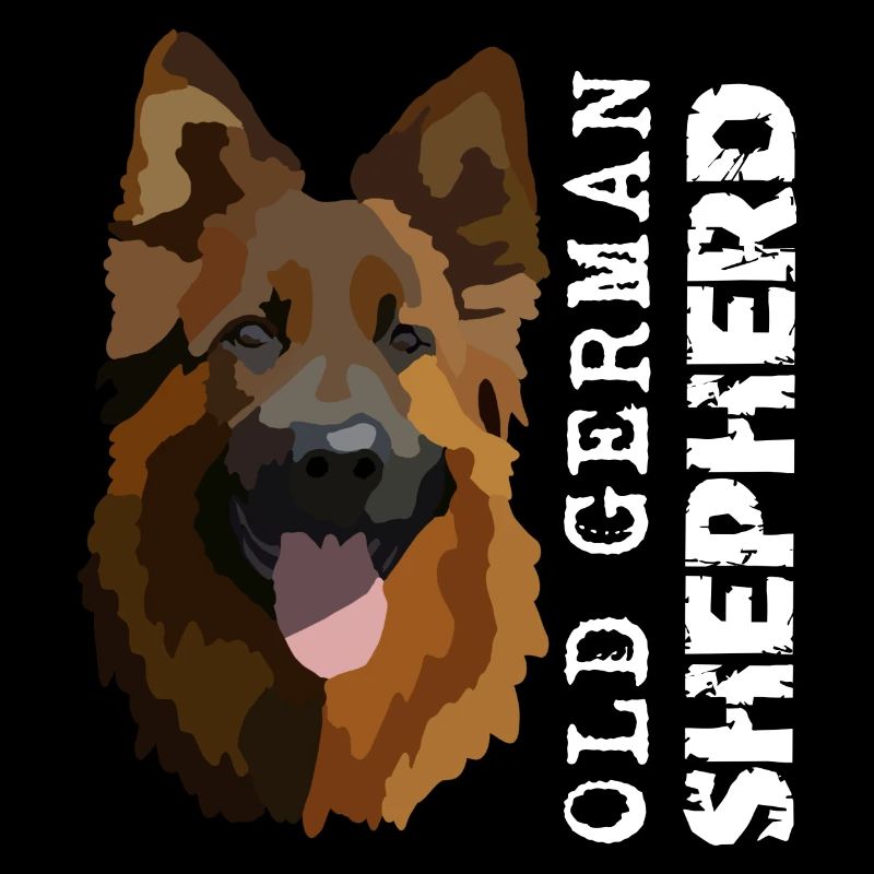 Old German Shepherd Dog Shepherd